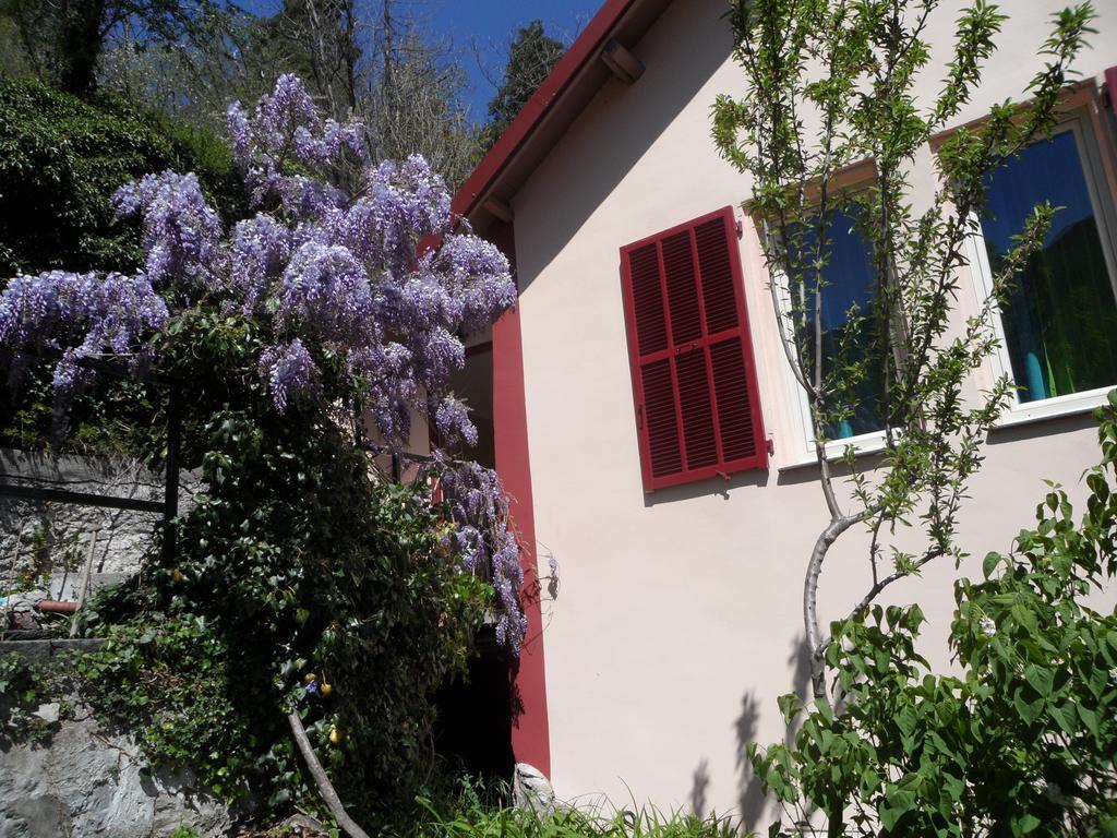 Chambres D'Hotes Casa Sylvana Saint-Dalmas-de-Tende Exterior foto